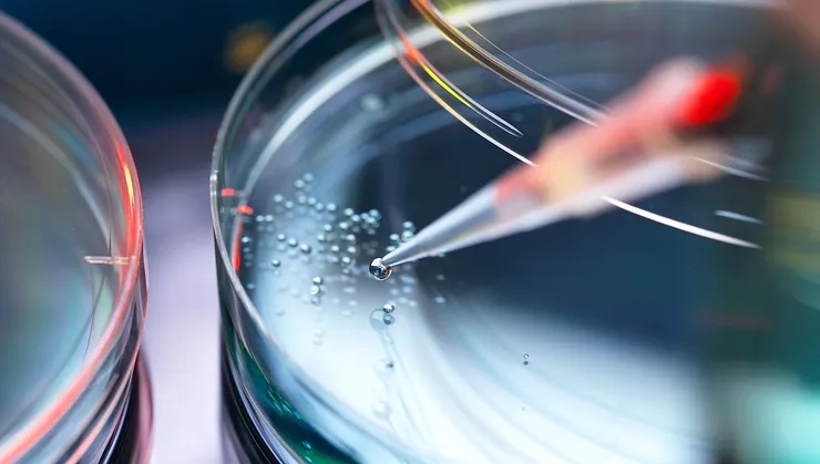 biotech product testing in a lab